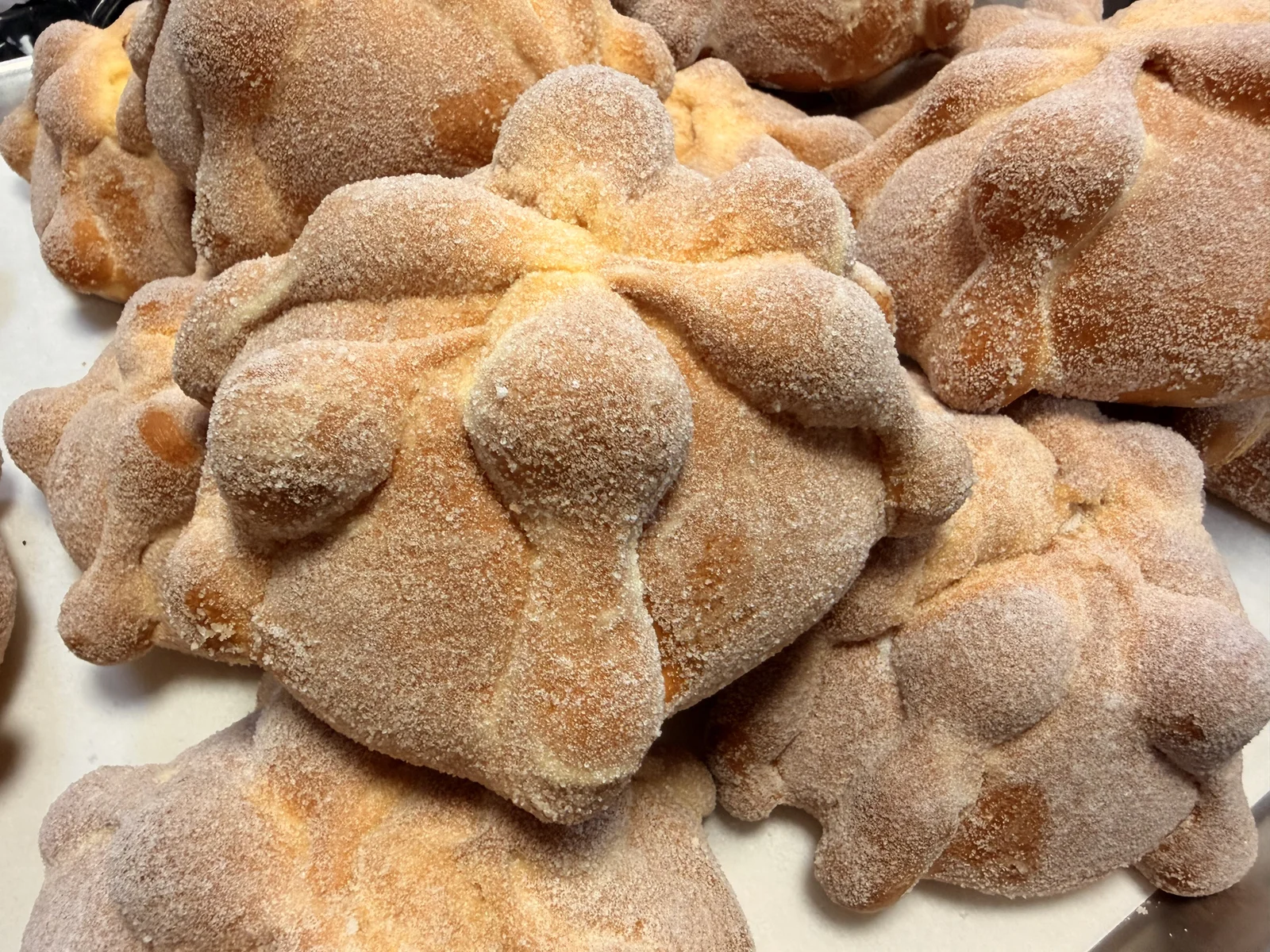Traditional Mexican Pan de Muerto sweet bread dusted with sugar