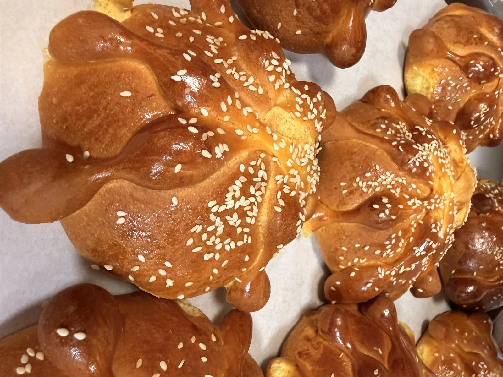 Traditional golden-glazed Pan de Muerto sweet bread sprinkled with sesame seeds
